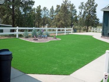 Artificial Grass Photos: Fake Pet Turf Mayflower Village California Lawns